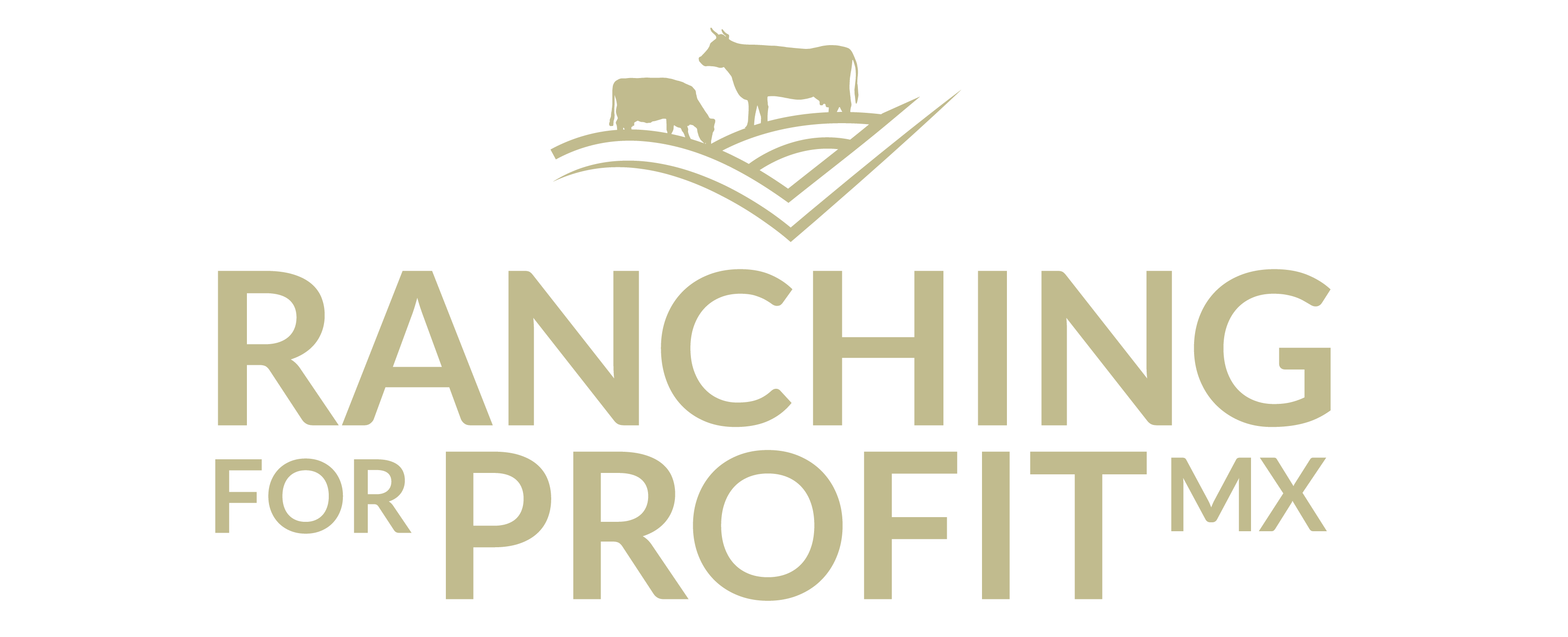 r4p logo